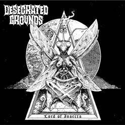 Desecrated Grounds : Lord of Insects